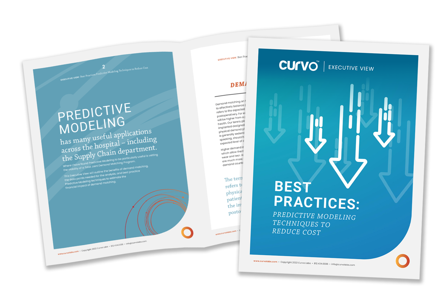 Exec View Predictive Modeling for Medical Device Pricing for Supply Chain